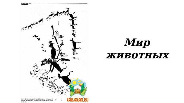 Мир животных 