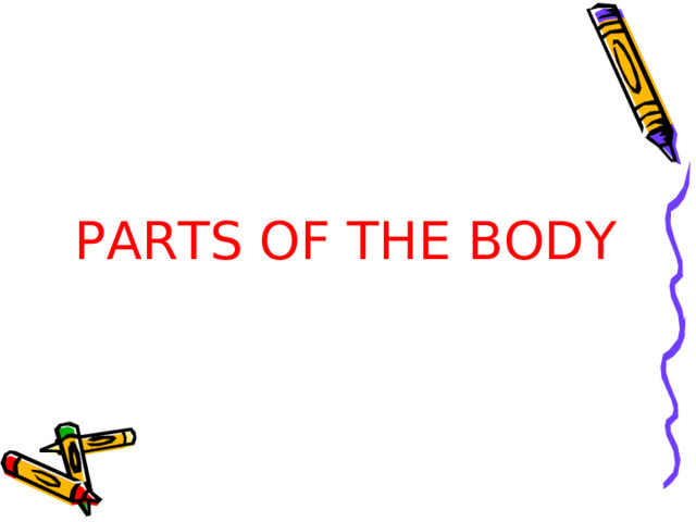 PARTS OF THE BODY 