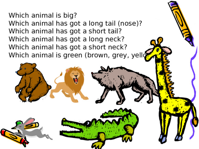 Which animal is big?  Which animal has got a long tail (nose)?  Which animal has got a short tail?  Which animal has got a long neck?  Which animal has got a short neck?  Which animal is green (brown, grey, yellow)? 