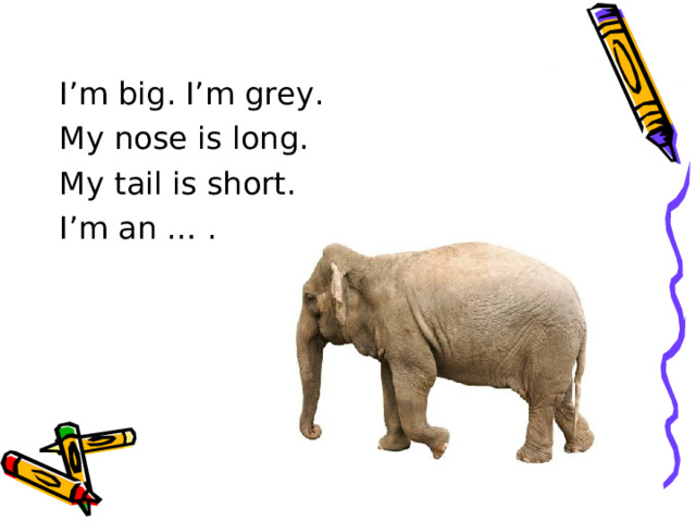 I’m big. I’m grey. My nose is long. My tail is short. I’m an … . 