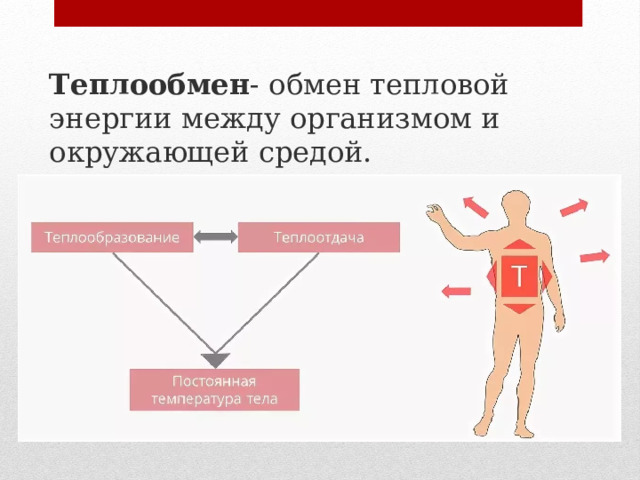 Теплообмен - обмен тепловой энергии между организмом и окружающей средой. 