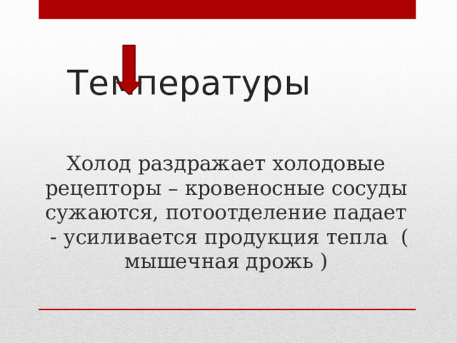  Температуры Холод раздражает холодовые рецепторы – кровеносные сосуды сужаются, потоотделение падает - усиливается продукция тепла ( мышечная дрожь ) 