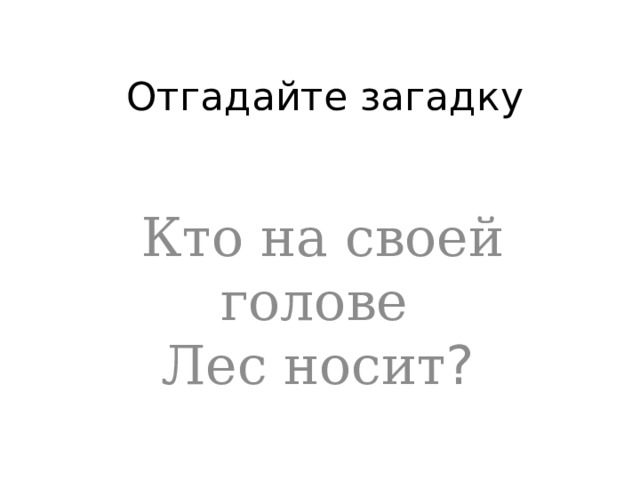 Отгадайте загадку Кто на своей голове  Лес носит ?  