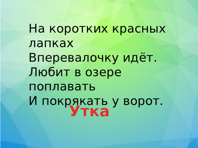 На коротких красных лапках Вперевалочку идёт. Любит в озере поплавать И покрякать у ворот. Утка