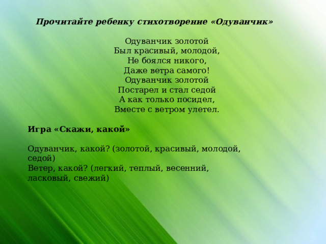 Прочитайте ребенку стихотворение «Одуванчик» Одуванчик золотой Был красивый, молодой, Не боялся никого, Даже ветра самого! Одуванчик золотой Постарел и стал седой А как только посидел, Вместе с ветром улетел.                Игра «Скажи, какой» Одуванчик, какой? (золотой, красивый, молодой, седой) Ветер, какой? (легкий, теплый, весенний, ласковый, свежий) 