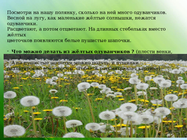 Посмотри на нашу полянку, сколько на ней много одуванчиков. Весной на лугу, как маленькие жёлтые солнышки, нежатся одуванчики. Расцветают, а потом отцветают. На длинных стебельках вместо жёлтых цветочков появляются белые пушистые шапочки. Что можно делать из жёлтых одуванчиков ? (плести венки,…..) А на пушистые шапочки можно подуть, и пушинки разлетятся во все стороны. (Ребенок рассматривает картину)                