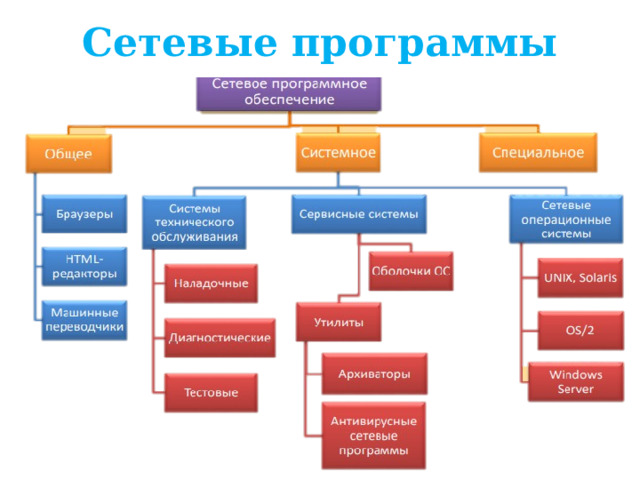 Сетевые программы  Сетевое программное обеспечение – это программное обеспечение, позволяющее организовать работу пользователя в сети. Оно представлено общим, системным и специальным программным обеспечением. 