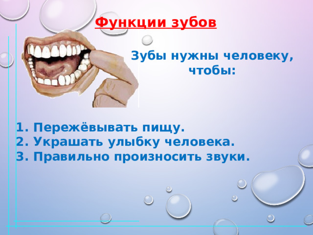 Функции зубов Зубы нужны человеку, чтобы: 1. Пережёвывать пищу. 2. Украшать улыбку человека. 3. Правильно произносить звуки. 