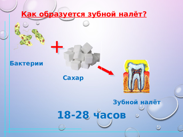 Как образуется зубной налёт? Бактерии Сахар Зубной налёт 18-28 часов 