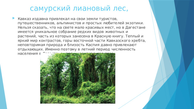 самурский лиановый лес, Кавказ издавна привлекал на свои земли туристов, путешественников, альпинистов и простых любителей экзотики. Нельзя сказать, что на свете мало красивых мест, но в Дагестане имеется уникальное собрание редких видов животных и растений, часть из которых занесена в Красную книгу. Теплый и яркий мир контрастов, горы восточной части Кавказского хребта, неповторимая природа и близость Каспия давно привлекают отдыхающих. Именно поэтому в летний период численность населения в Дагестане увеличивается в два раза. 