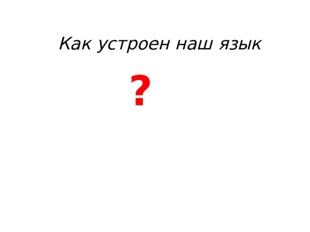 Как устроен наш язык ? 