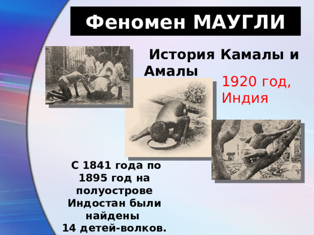 Феномен МАУГЛИ   История Камалы и Амалы 1920 год, Индия   С 1841 года по 1895 год на полуострове Индостан были найдены 14 детей-волков. 