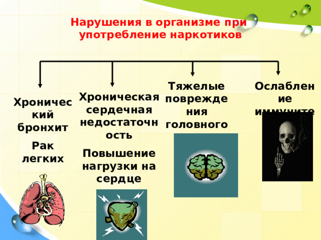 Нарушения в организме при употребление наркотиков Тяжелые повреждения головного мозга Ослабление иммунитета Хроническая сердечная недостаточность Повышение нагрузки на сердце Хронический бронхит Рак легких 