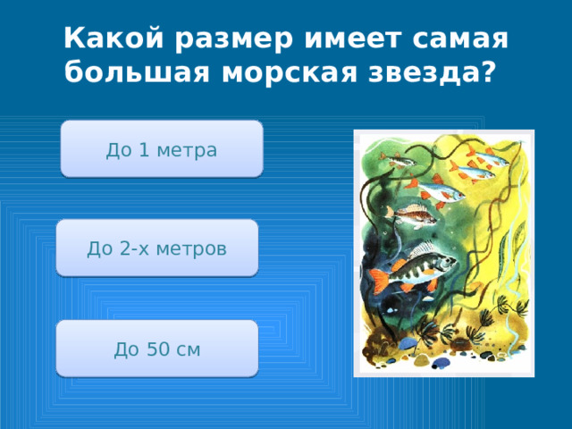 Какой размер имеет самая большая морская звезда? До 1 метра До 2-х метров До 50 см 