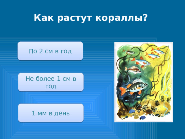 Как растут кораллы? По 2 см в год Не более 1 см в год 1 мм в день 