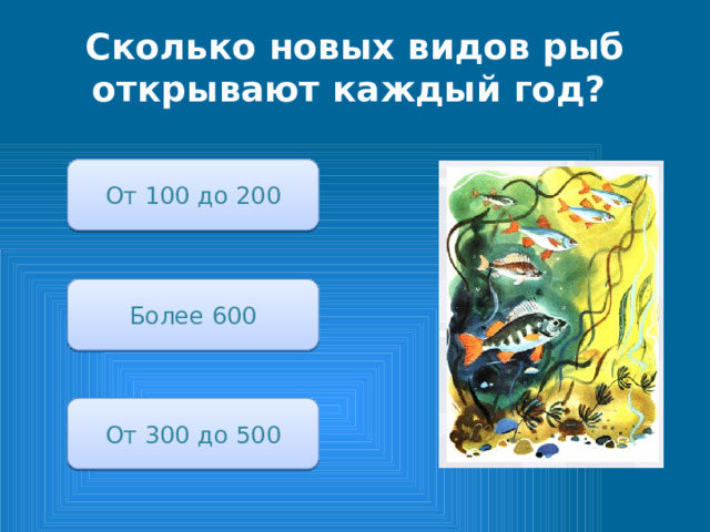 Сколько новых видов рыб открывают каждый год? От 100 до 200 Более 600 От 300 до 500 