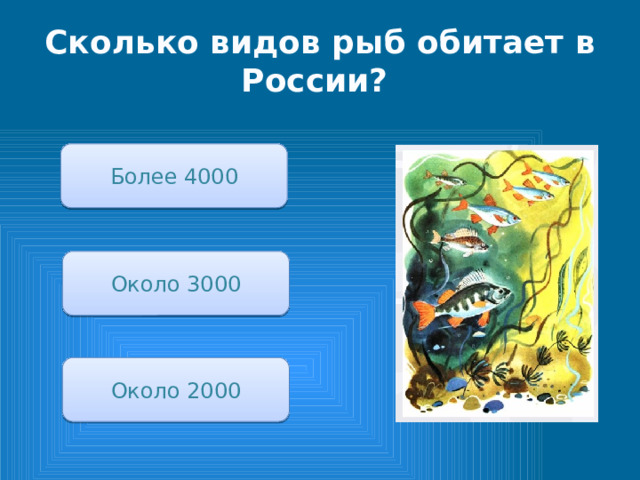 Сколько видов рыб обитает в России? Более 4000 Около 3000 Около 2000 