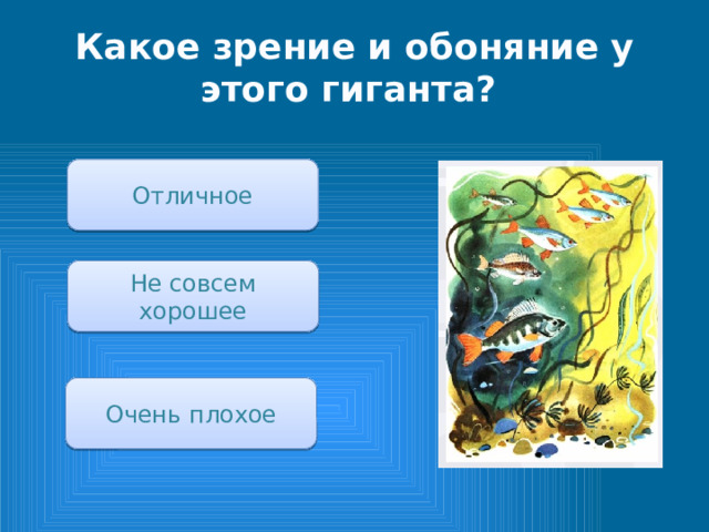 Какое зрение и обоняние у этого гиганта? Отличное Не совсем хорошее Очень плохое 