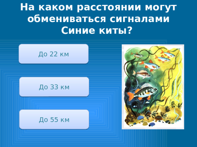 На каком расстоянии могут обмениваться сигналами Синие киты? До 22 км До 33 км До 55 км 