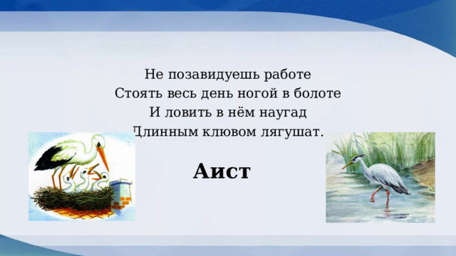 Не позавидуешь работе Стоять весь день ногой в болоте И ловить в нём наугад Длинным клювом лягушат. Аист 