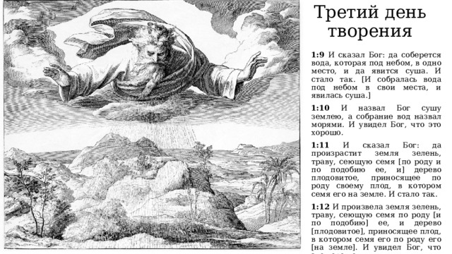 Третий день творения 1:9 И сказал Бог: да соберется вода, которая под небом, в одно место, и да явится суша. И стало так. [И собралась вода под небом в свои места, и явилась суша.] 1:10 И назвал Бог сушу землею, а собрание вод назвал морями. И увидел Бог, что это хорошо. 1:11 И сказал Бог: да произрастит земля зелень, траву, сеющую семя [по роду и по подобию ее, и] дерево плодовитое, приносящее по роду своему плод, в котором семя его на земле. И стало так. 1:12 И произвела земля зелень, траву, сеющую семя по роду [и по подобию] ее, и дерево [плодовитое], приносящее плод, в котором семя его по роду его [на земле]. И увидел Бог, что это хорошо. 1:13 И был вечер, и было утро: день третий (Быт.1:9-13). 