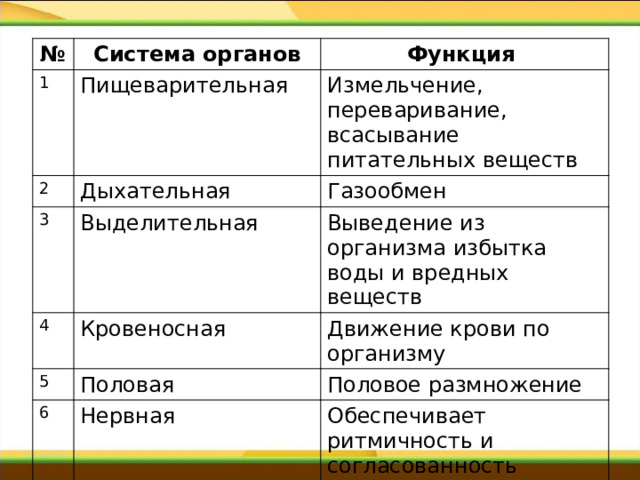 № Система органов 1 Функция Пищеварительная 2 Измельчение, переваривание, всасывание питательных веществ Дыхательная 3 4 Выделительная Газообмен Выведение из организма избытка воды и вредных веществ Кровеносная 5 Движение крови по организму Половая 6 Половое размножение Нервная Обеспечивает ритмичность и согласованность деятельности организма 