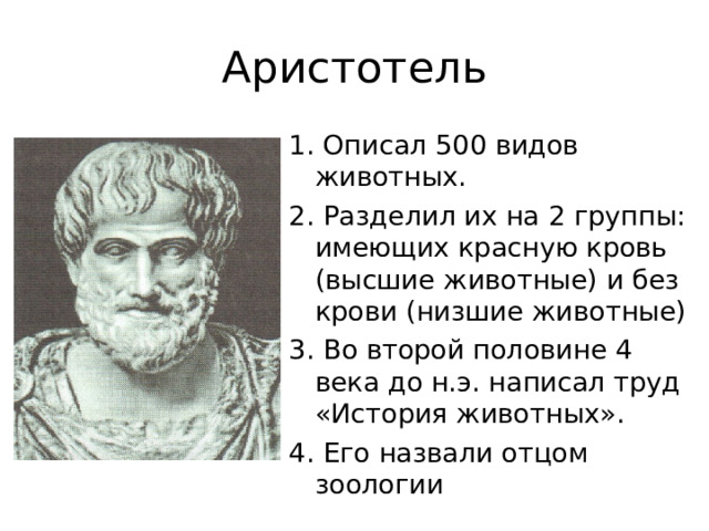 Аристотель 1. Описал 500 видов животных. 2. Разделил их на 2 группы: имеющих красную кровь (высшие животные) и без крови (низшие животные) 3. Во второй половине 4 века до н.э. написал труд «История животных». 4. Его назвали отцом зоологии 