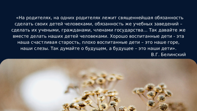  «На родителях, на одних родителях лежит священнейшая обязанность сделать своих детей человеками, обязанность же учебных заведений – сделать их учеными, гражданами, членами государства… Так давайте же вместе делать наших детей человеками. Хорошо воспитанные дети - эта наша счастливая старость, плохо воспитанные дети – это наше горе, наши слезы. Так думайте о будущем, а будущее – это наши дети». В.Г. Белинский 