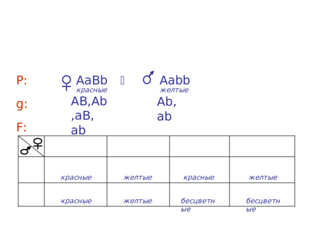 A – наличие цвета, a – отсутствие цвета B – красный цвет, b – желтый цвет  В b  bb A а Аа Р:  желтые красные АВ,А b ,аВ, а b А b , а b g : F :  а b А b аВ АВ Аа bb АА bb АаВ b ААВ b А b красные красные желтые желтые АаВ b Аа bb ааВ b аа bb  а b красные желтые бесцветные бесцветные 