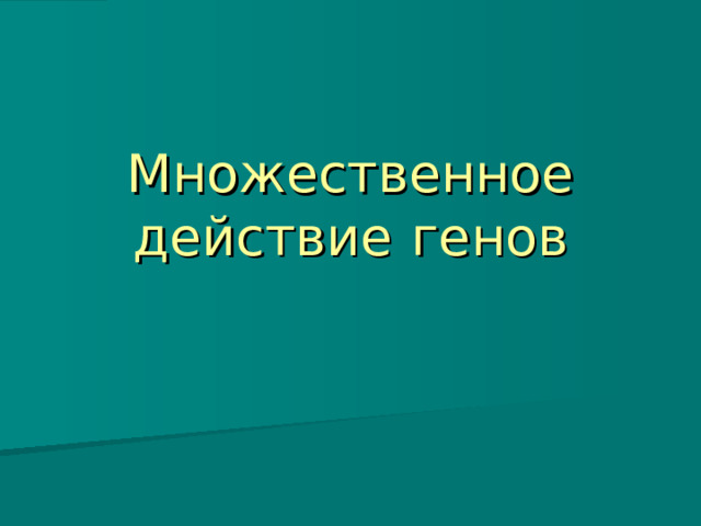 Множественное  действие  генов 