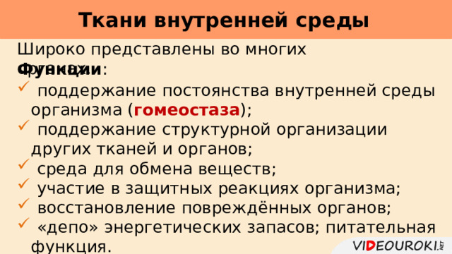 Ткани внутренней среды     Широко представлены во многих органах. Функции :  поддержание постоянства внутренней среды организма ( гомеостаза );  поддержание структурной организации других тканей и органов;  среда для обмена веществ;  участие в защитных реакциях организма;  восстановление повреждённых органов;  «депо» энергетических запасов; питательная функция. 