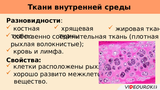 Ткани внутренней среды     Разновидности :  костная ткань;  хрящевая ткань;  жировая ткань;  собственно соединительная ткань (плотная и рыхлая волокнистые);  кровь и лимфа. Свойства:  клетки расположены рыхло;  хорошо развито межклеточное  вещество. 