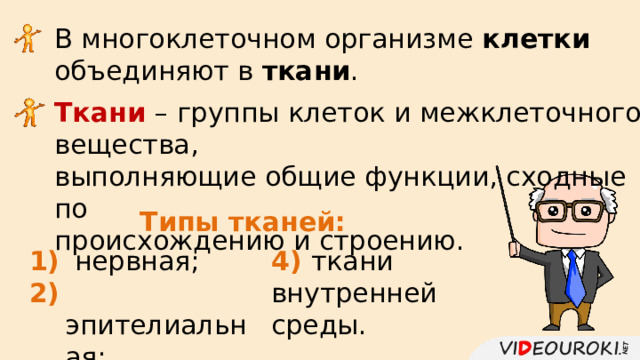 В многоклеточном организме клетки  объединяют в ткани . Ткани – группы клеток и межклеточного вещества, выполняющие общие функции, сходные по происхождению и строению. Типы тканей:  нервная;  эпителиальная;  мышечная; 4) ткани внутренней среды.  