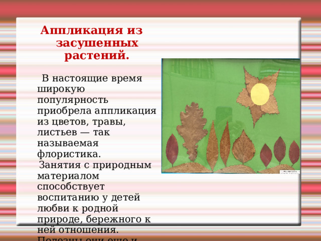 Аппликация из засушенных растений.  В настоящие время широкую популярность приобрела аппликация из цветов, травы, листьев — так называемая флористика.  Занятия с природным материалом способствует воспитанию у детей любви к родной природе, бережного к ней отношения. Полезны они еще и потому, что сбор и заготовка природного материала происходит на воздухе. 