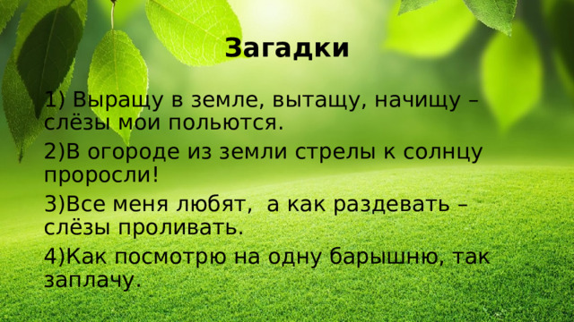 Загадки 1) Выращу в земле, вытащу, начищу – слёзы мои польются. 2)В огороде из земли стрелы к солнцу проросли! 3)Все меня любят, а как раздевать – слёзы проливать. 4)Как посмотрю на одну барышню, так заплачу.