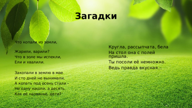 Загадки Что копали из земли, Жарили, варили? Что в золе мы испекли, Ели и хвалили. Закопали в землю в мае И сто дней не вынимали, А копать под осень стали – Не одну нашли, а десять. Как её названье, дети? Кругла, рассыпчата, бела На стол она с полей пришла. Ты посоли её немножко. Ведь правда вкусная…