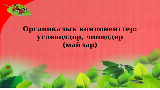 Органикалык компоненттер: углеводдор, липиддер (майлар) 