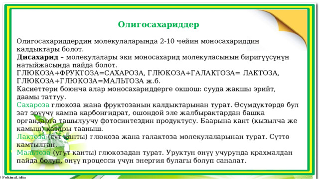 Олигосахариддер Олигосахариддердин молекулаларында 2-10 чейин моносахариддин калдыктары болот. Дисахарид – молекулалары эки моносахарид молекуласынын биригүүсүнүн натыйжасында пайда болот. ГЛЮКОЗА+ФРУКТОЗА=САХАРОЗА, ГЛЮКОЗА+ГАЛАКТОЗА= ЛАКТОЗА, ГЛЮКОЗА+ГЛЮКОЗА=МАЛЬТОЗА ж.б. Касиеттери боюнча алар моносахариддерге окшош: сууда жакшы эрийт, даамы таттуу. Сахароза глюкоза жана фруктозанын калдыктарынан турат. Өсүмдүктөрдө бул зат эрүүчү кампа карбонгидрат, ошондой эле жалбырактардан башка органдарга ташылуучу фотосинтездин продуктусу. Баарына кант (кызылча же камыш) катары тааныш. Лактоза (сүт канты)  глюкоза жана галактоза молекулаларынан турат. Сүттө камтылган. Мальтоза (угут канты) глюкозадан турат. Уруктун өнүү учурунда крахмалдан пайда болуп, өнүү процесси үчүн энергия булагы болуп саналат. 