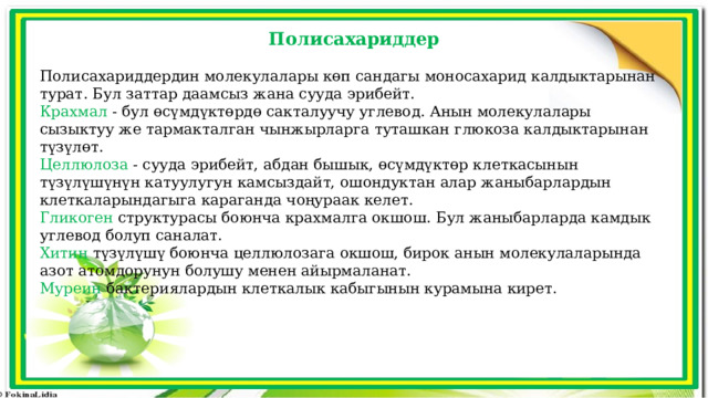 Полисахариддер Полисахариддердин молекулалары көп сандагы моносахарид калдыктарынан турат. Бул заттар даамсыз жана сууда эрибейт. Крахмал - бул өсүмдүктөрдө сакталуучу углевод. Анын молекулалары сызыктуу же тармакталган чынжырларга туташкан глюкоза калдыктарынан түзүлөт. Целлюлоза - сууда эрибейт, абдан бышык, өсүмдүктөр клеткасынын түзүлүшүнүн катуулугун камсыздайт, ошондуктан алар жаныбарлардын клеткаларындагыга караганда чоңураак келет. Гликоген структурасы боюнча крахмалга окшош. Бул жаныбарларда камдык углевод болуп саналат. Хитин түзүлүшү боюнча целлюлозага окшош, бирок анын молекулаларында азот атомдорунун болушу менен айырмаланат. Муреин бактериялардын клеткалык кабыгынын курамына кирет. 