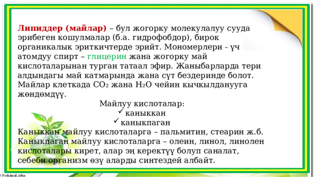 Липиддер (майлар) – бул жогорку молекулалуу сууда эрибеген кошулмалар (б.а. гидрофобдор), бирок органикалык эриткичтерде эрийт. Мономерлери - үч атомдуу спирт – глицерин жана жогорку май кислоталарынан турган татаал эфир. Жаныбарларда тери алдындагы май катмарында жана сүт бездеринде болот. Майлар клеткада СО₂ жана Н₂О чейин кычкылданууга жөндөмдүү. Майлуу кислоталар: каныккан каныкпаган Каныккан майлуу кислоталарга – пальмитин, стеарин ж.б. Каныкпаган майлуу кислоталарга – олеин, линол, линолен кислоталары кирет, алар эң керектүү болуп саналат, себеби организм өзү аларды синтездей албайт. 