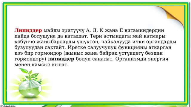 Липиддер  майды эритүүчү А, Д, К жана Е витаминдердин пайда болушуна да катышат. Тери астындагы май катмары көбүнчө жаныбарларды үшүктөн, чайкалууда ички органдарды бузулуудан сактайт. Иретке салуучулук функцияны аткарган кээ бир гормондор (жыныс жана бөйрөк үстүндөгү бездин гормондору) липиддер болуп саналат. Организмди энергия менен камсыз кылат. 