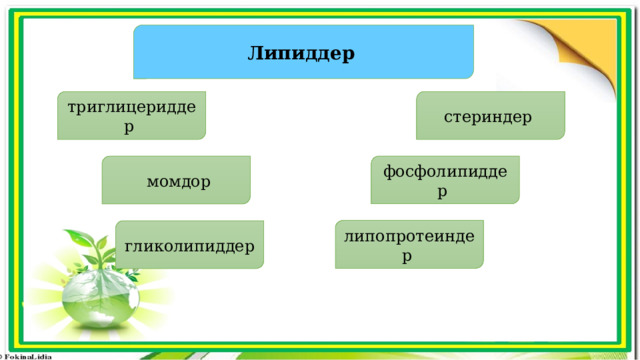 Липиддер  триглицериддер стериндер фосфолипиддер  момдор липопротеиндер гликолипиддер 