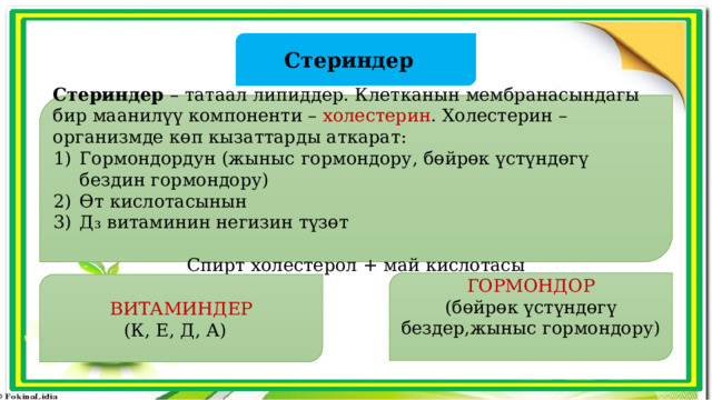 Стериндер Стериндер – татаал липиддер. Клетканын мембранасындагы бир маанилүү компоненти – холестерин . Холестерин – организмде көп кызаттарды аткарат: Гормондордун (жыныс гормондору, бөйрөк үстүндөгү бездин гормондору) Өт кислотасынын Д₃ витаминин негизин түзөт Спирт холестерол + май кислотасы ГОРМОНДОР (бөйрөк үстүндөгү бездер,жыныс гормондору) ВИТАМИНДЕР (К, Е, Д, А) 