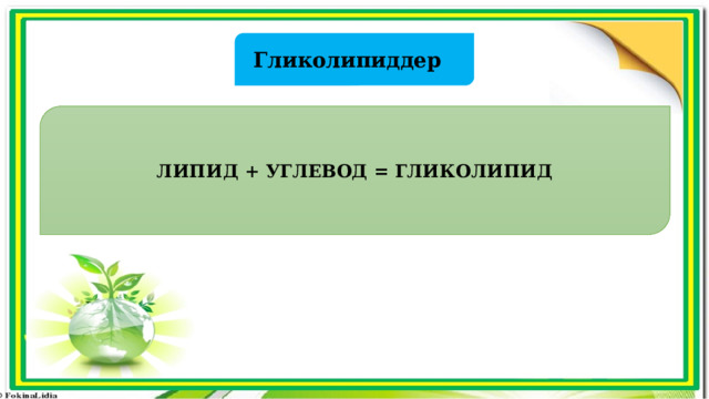 Гликолипиддер ЛИПИД + УГЛЕВОД = ГЛИКОЛИПИД 