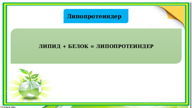 Липопротеиндер ЛИПИД + БЕЛОК = ЛИПОПРОТЕИНДЕР 