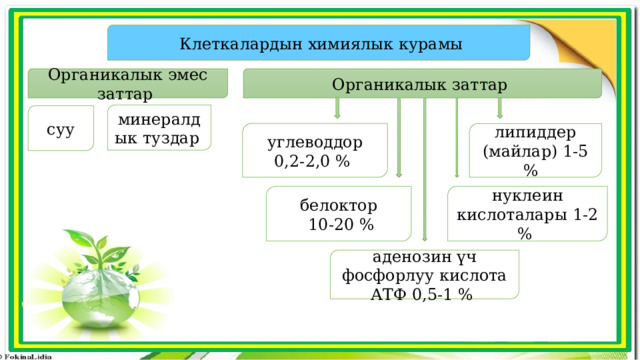  Клеткалардын химиялык курамы Органикалык заттар Органикалык эмес заттар минералдык туздар  суу углеводдор 0,2-2,0 % липиддер (майлар) 1-5 %  нуклеин кислоталары 1-2 % белоктор  10-20 % аденозин үч фосфорлуу кислота АТФ 0,5-1 % 