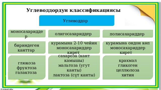 Углеводдордун классификациясы Углеводдор олигосахариддер полисахариддер моносахариддер курамына ондон көп моносахариддер кирет курамына 2-10 чейин моносахариддер кирет бириндеген канттар глюкоза сахароза (кант камышы) крахмал фруктоза мальтоза (угут канты) гликоген галактоза лактоза (сүт канты) целлюлоза хитин 