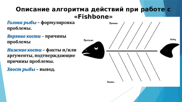 Описание алгоритма действий при работе с «Fishbone» 