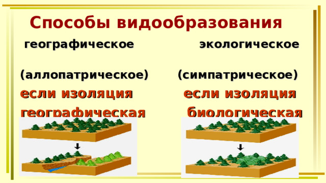 Способы видообразования  географическое экологическое (аллопатрическое) (симпатрическое) если изоляция если изоляция географическая  биологическая   