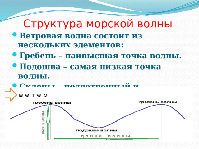 Структура морской волны Ветровая волна состоит из нескольких элементов: Гребень – наивысшая точка волны. Подошва – самая низкая точка волны. Склоны – подветренный и наветренный. - 